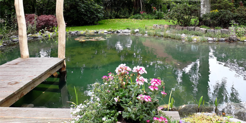 Teichbau Allgäu Proteich