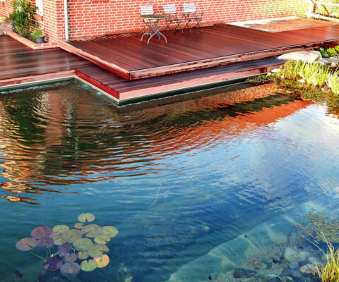 Schwimmteich mit zweistufiger Holzterrasse aus Bangkirai
